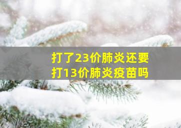 打了23价肺炎还要打13价肺炎疫苗吗