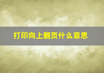 打印向上翻页什么意思