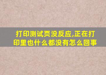 打印测试页没反应,正在打印里也什么都没有怎么回事