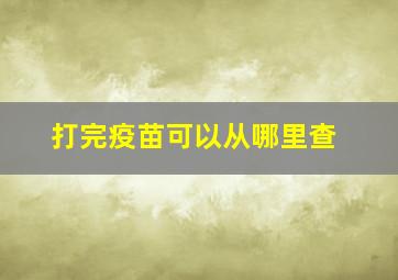 打完疫苗可以从哪里查