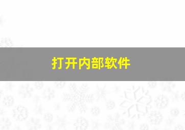 打开内部软件