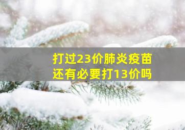 打过23价肺炎疫苗还有必要打13价吗