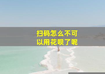 扫码怎么不可以用花呗了呢