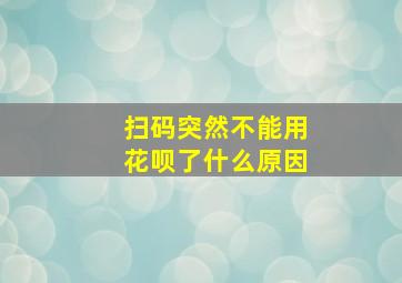 扫码突然不能用花呗了什么原因