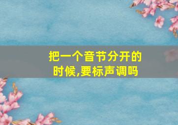 把一个音节分开的时候,要标声调吗