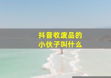 抖音收废品的小伙子叫什么