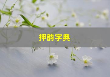 押韵字典