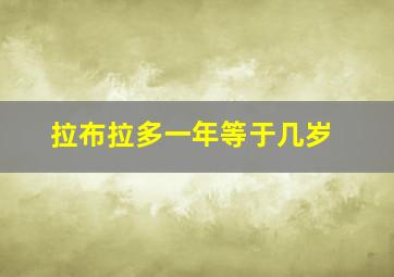 拉布拉多一年等于几岁