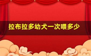 拉布拉多幼犬一次喂多少