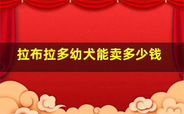 拉布拉多幼犬能卖多少钱