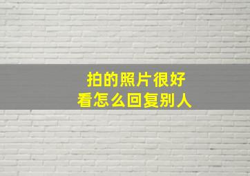 拍的照片很好看怎么回复别人