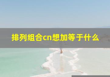 排列组合cn想加等于什么