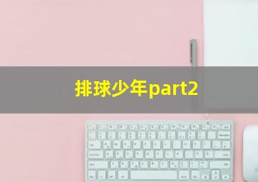 排球少年part2