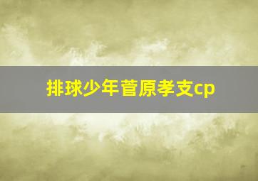 排球少年菅原孝支cp