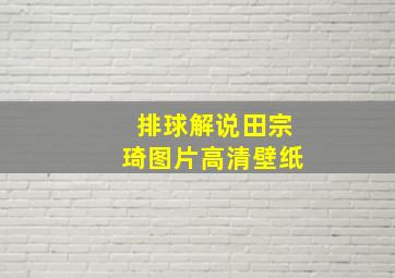 排球解说田宗琦图片高清壁纸