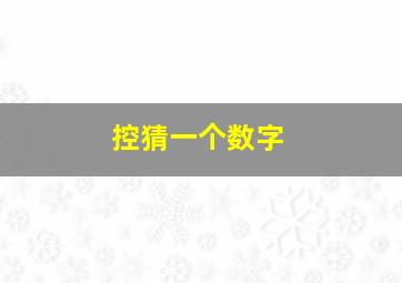 控猜一个数字