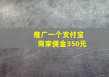 推广一个支付宝商家佣金350元