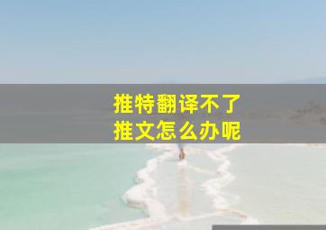 推特翻译不了推文怎么办呢