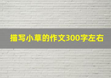 描写小草的作文300字左右