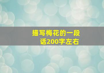 描写梅花的一段话200字左右