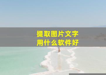 提取图片文字用什么软件好