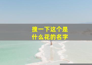 搜一下这个是什么花的名字