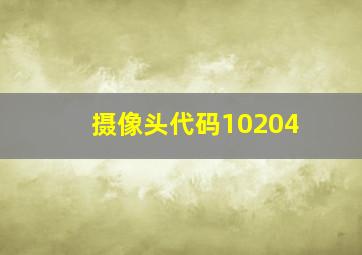 摄像头代码10204