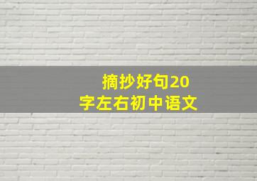 摘抄好句20字左右初中语文