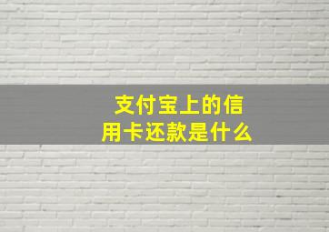 支付宝上的信用卡还款是什么