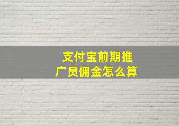 支付宝前期推广员佣金怎么算