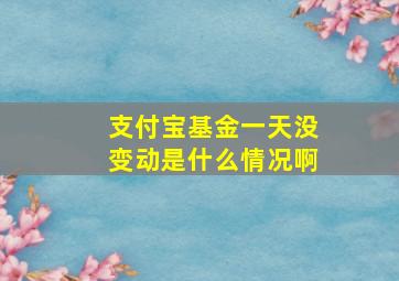 支付宝基金一天没变动是什么情况啊