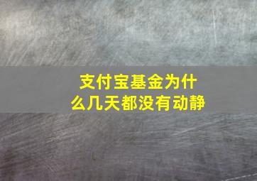 支付宝基金为什么几天都没有动静