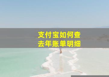 支付宝如何查去年账单明细