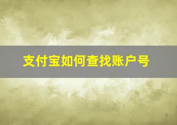 支付宝如何查找账户号