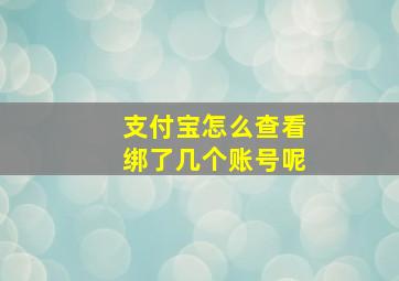 支付宝怎么查看绑了几个账号呢