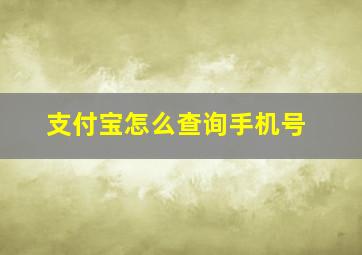 支付宝怎么查询手机号