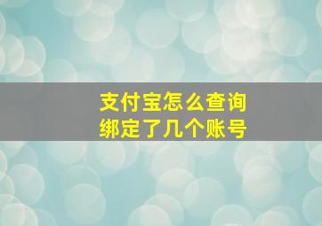 支付宝怎么查询绑定了几个账号