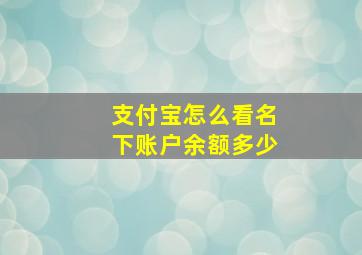 支付宝怎么看名下账户余额多少