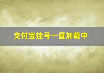 支付宝挂号一直加载中