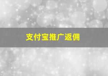 支付宝推广返佣