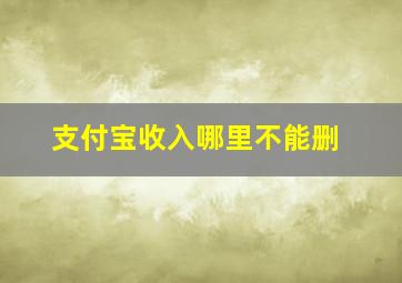 支付宝收入哪里不能删