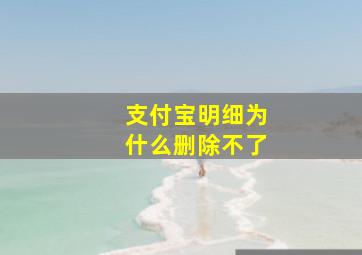 支付宝明细为什么删除不了