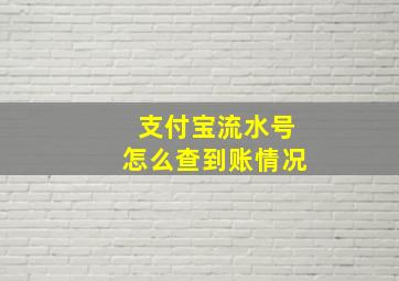 支付宝流水号怎么查到账情况