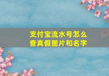 支付宝流水号怎么查真假图片和名字