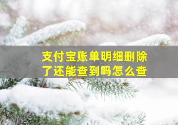 支付宝账单明细删除了还能查到吗怎么查