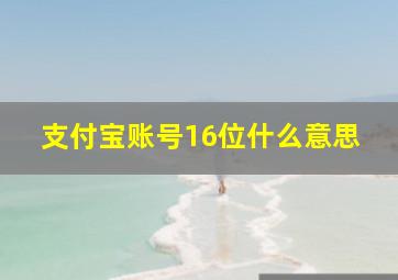 支付宝账号16位什么意思