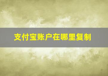 支付宝账户在哪里复制