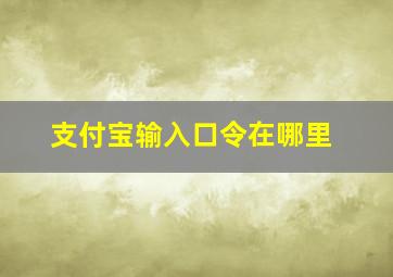 支付宝输入口令在哪里