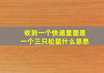 收到一个快递里面是一个三只松鼠什么意思