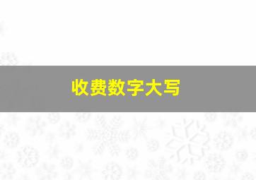 收费数字大写